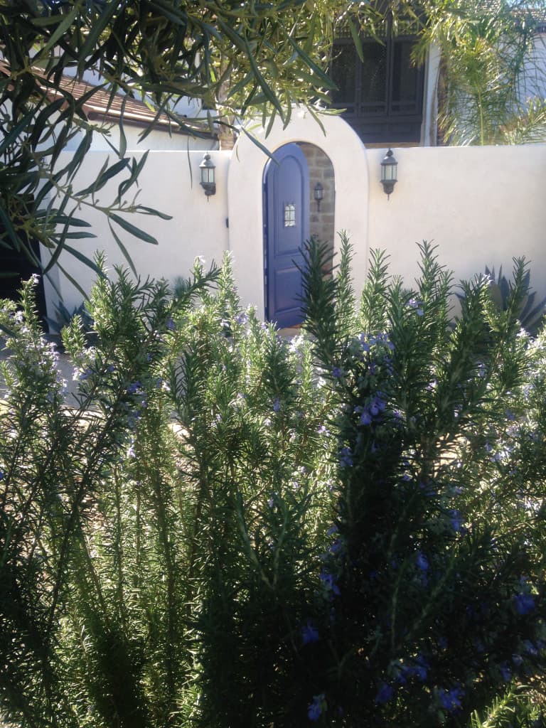 Sadhna's blue door